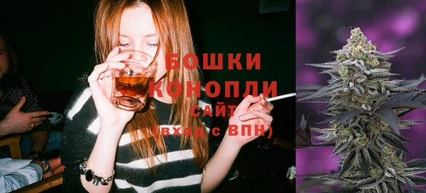 шишки Алзамай