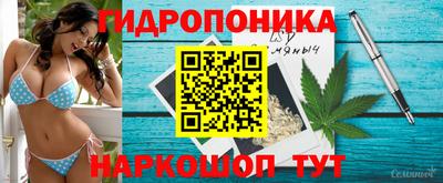 альфа пвп Новокубанск