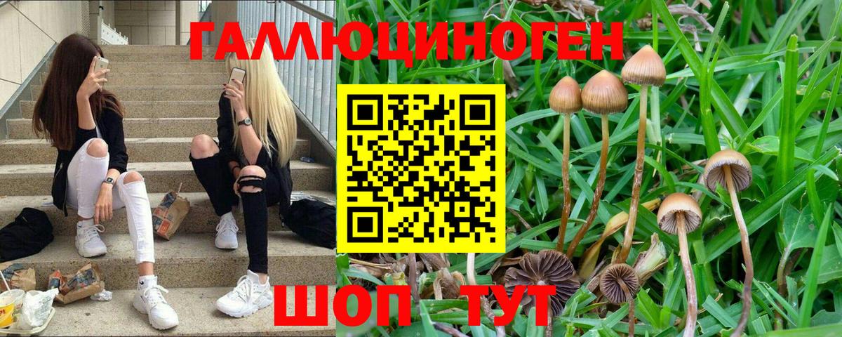 Псилоцибиновые грибы MAGIC MUSHROOMS Прохладный